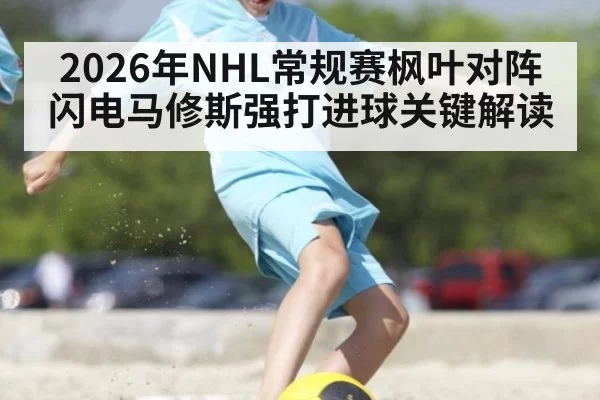 2026年NHL常规赛枫叶对阵闪电马修斯强打进球关键解读